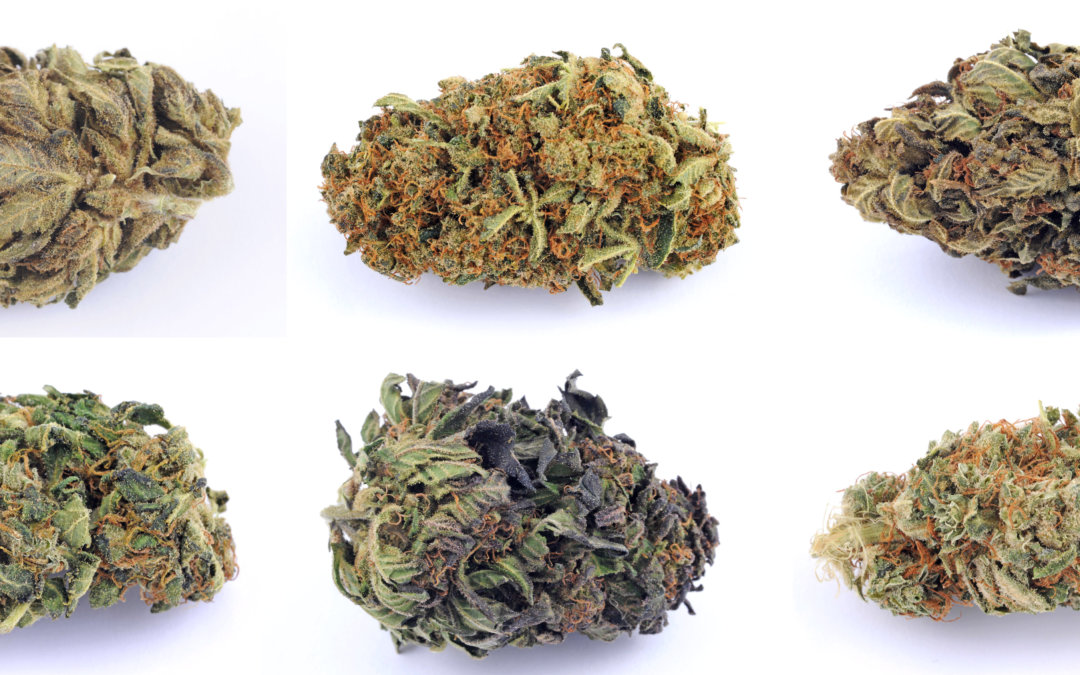 Cannabis-Flower