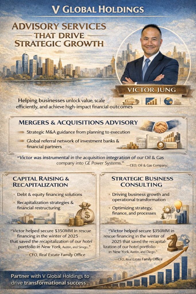 V Global Holdings Infographic